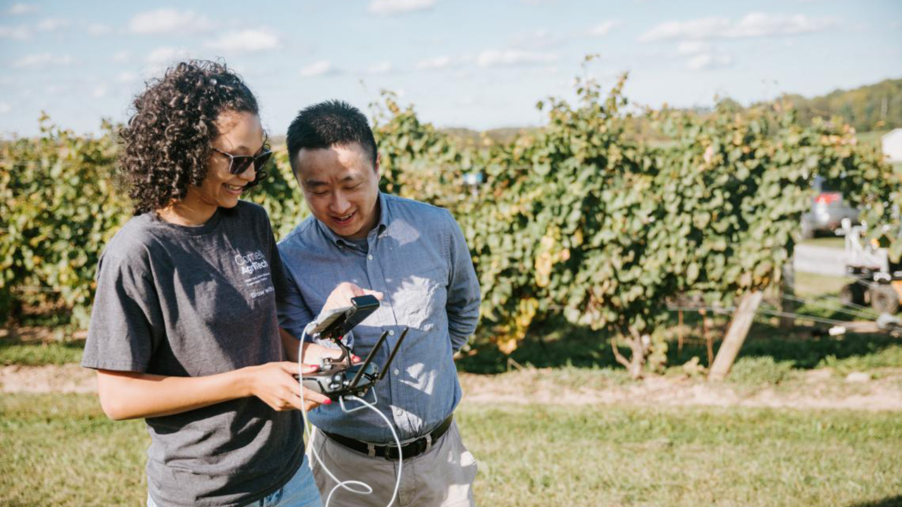 Two researchers look at a drone remote control while standing in a field.