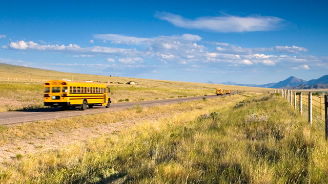 School buses driving down the road in a rural area.